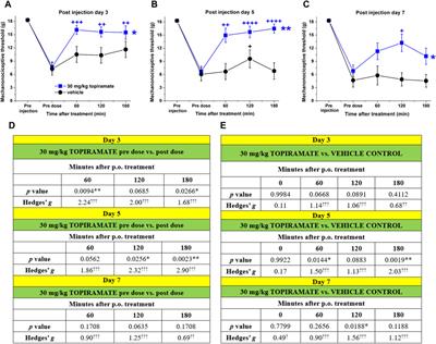 Topiramate inhibits adjuvant-induced chronic orofacial inflammatory allodynia in the rat